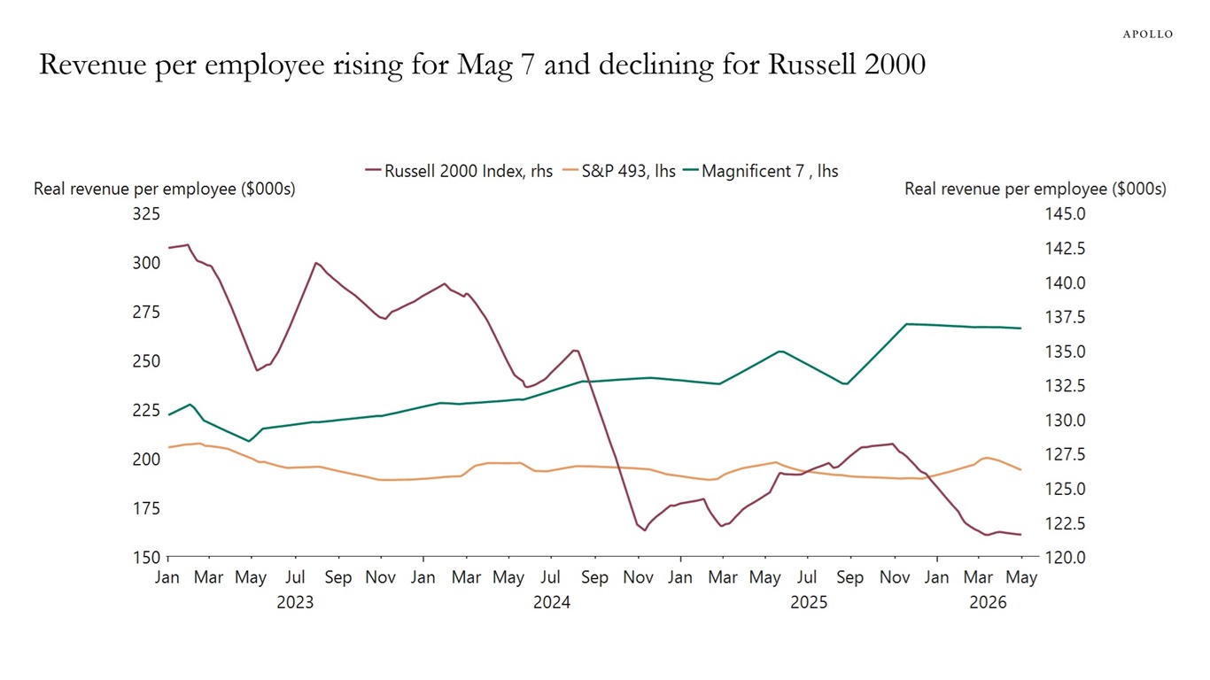 Revenue per employee rising for Mag 7 and declining for Russell 2000