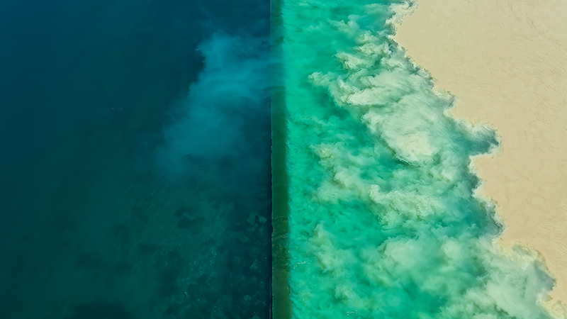 Aerial drone photograph of a coastal shoreline showing a dramatic color contrast between deep navy-blue open ocean on the left and vibrant turquoise shallow reef waters on the right, with a sandy beach edge visible along the far right.