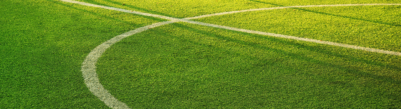 white circle line on green grass of football of soccer sport field with summer light background